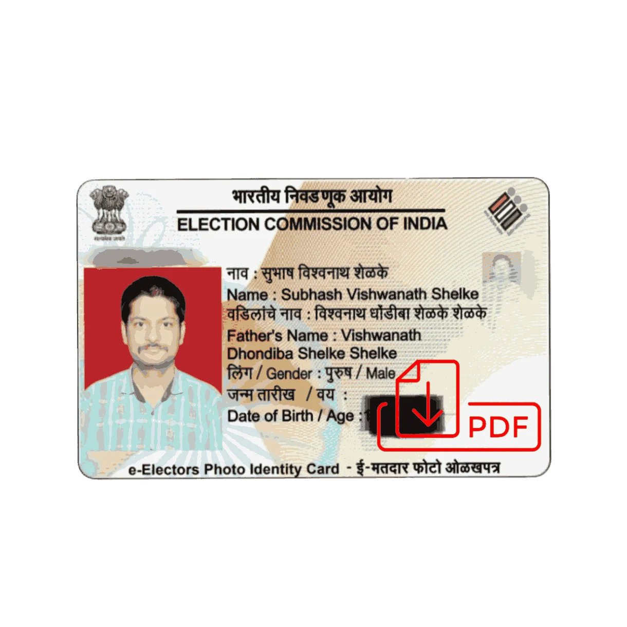 Voter Original PDF (Authorized) logo